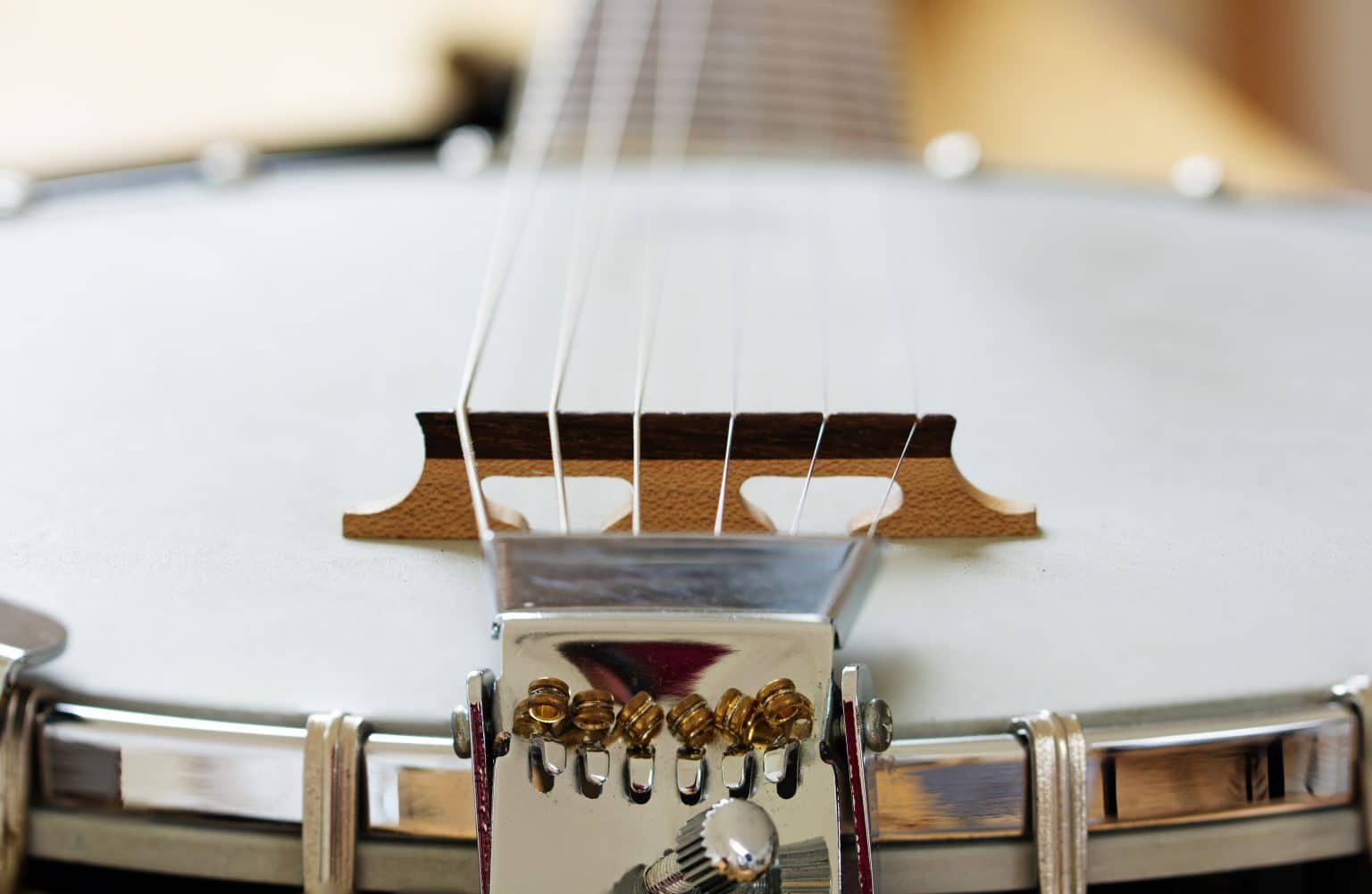 13 Easy Banjo Songs to Get You Picking Away in No Time