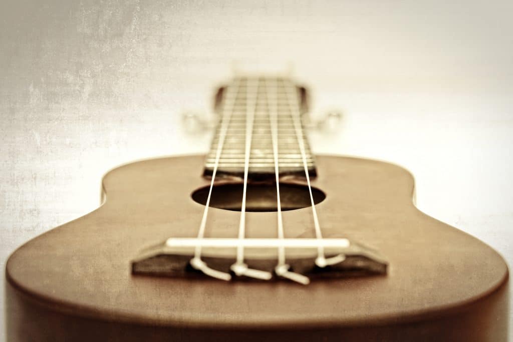 different ukulele strings